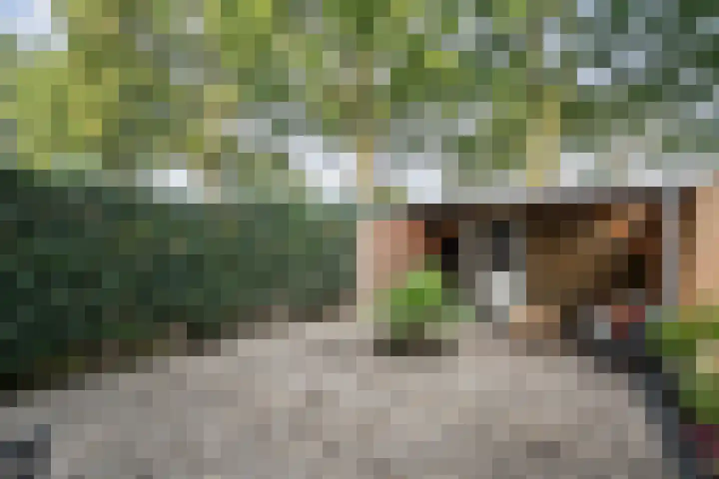 Polberg 38 Hardenberg thumbnail 40