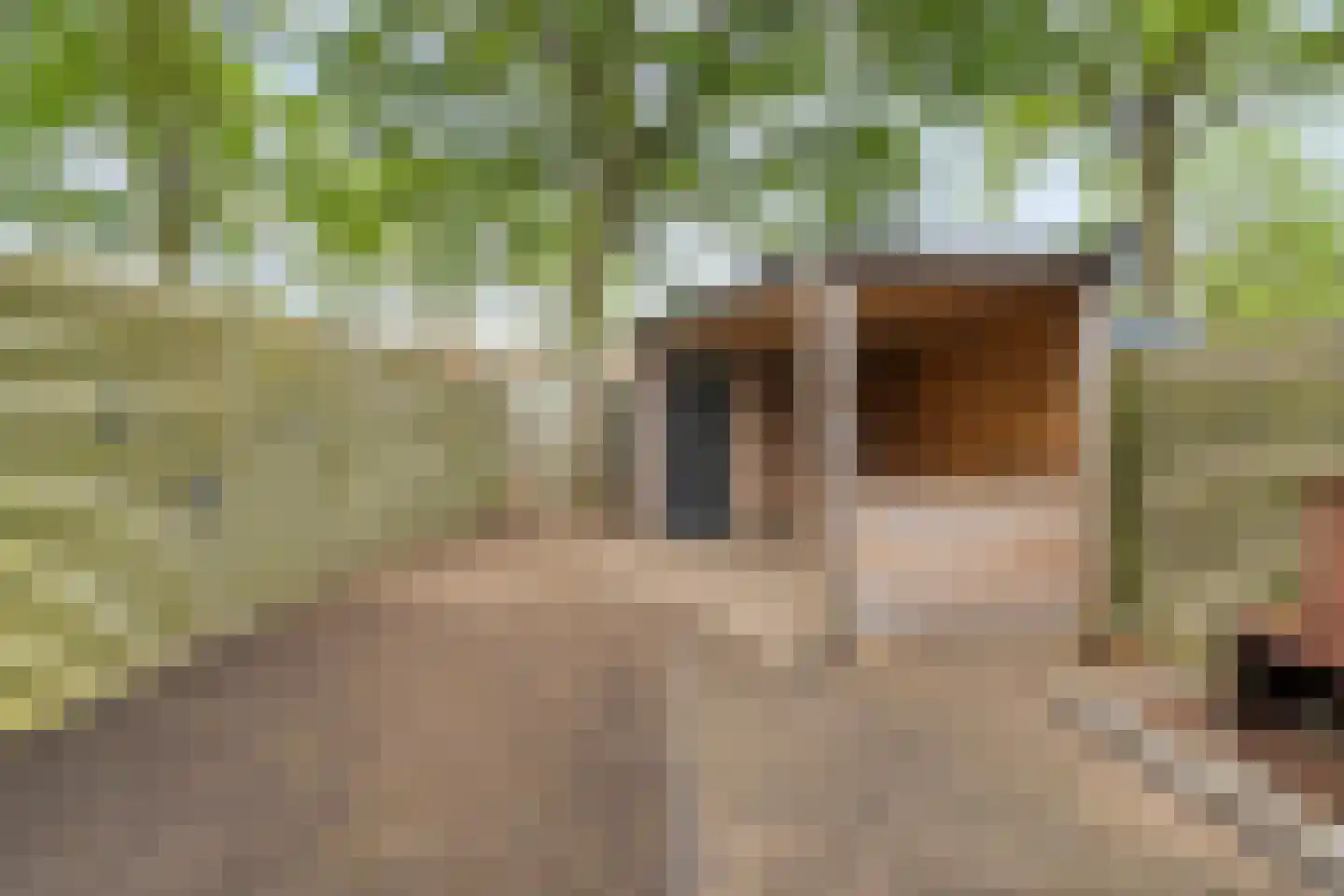 Polberg 40 Hardenberg thumbnail 31