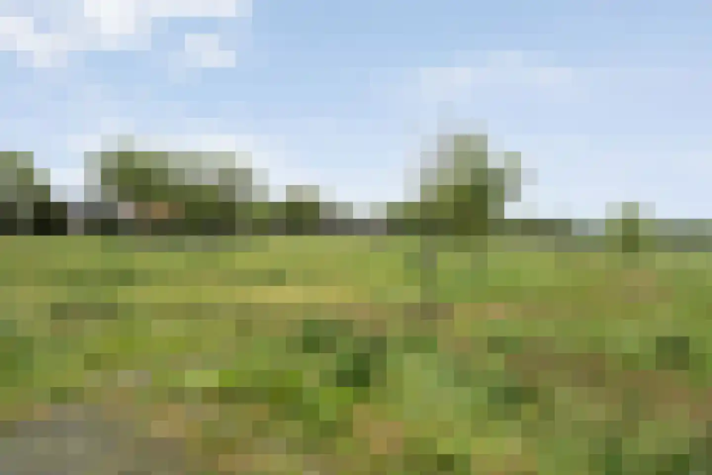 Polberg 40 Hardenberg thumbnail 36