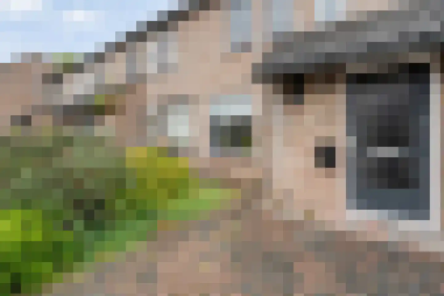 Polberg 40 Hardenberg thumbnail 37