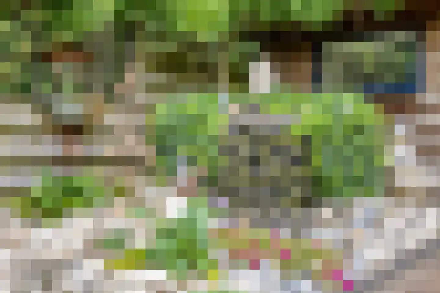 Polberg 58 Hardenberg thumbnail 32