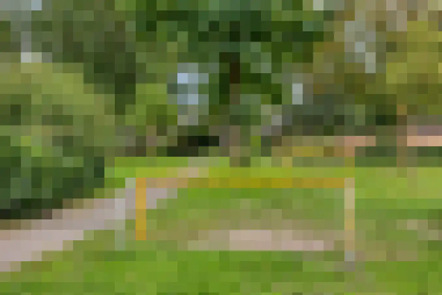 Polberg 58 Hardenberg thumbnail 38