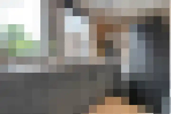 Polberg 75 Hardenberg thumbnail 18