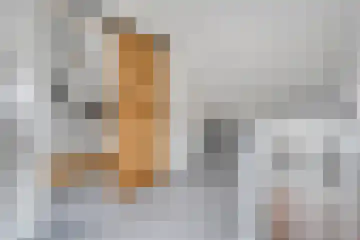 Polberg 75 Hardenberg thumbnail 38