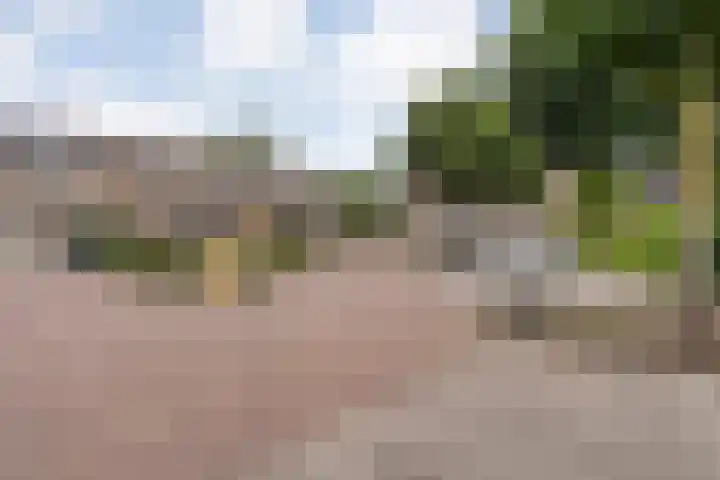 Polberg 75 Hardenberg thumbnail 4