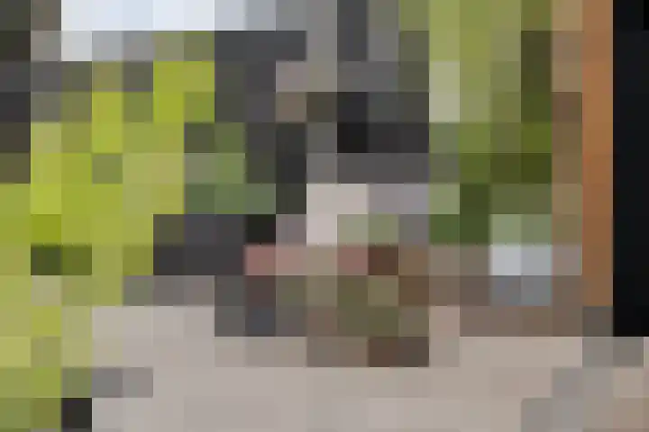 Polberg 75 Hardenberg thumbnail 47