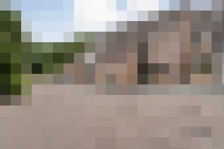 Polberg 75 Hardenberg thumbnail 5