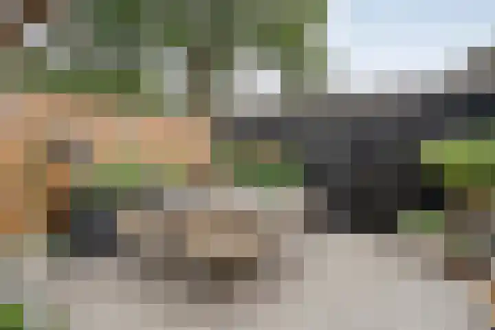 Polberg 75 Hardenberg thumbnail 51