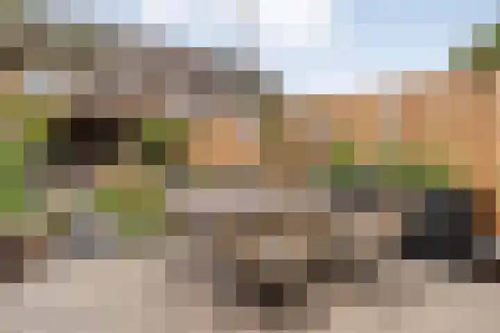 Polberg 75 Hardenberg thumbnail 53