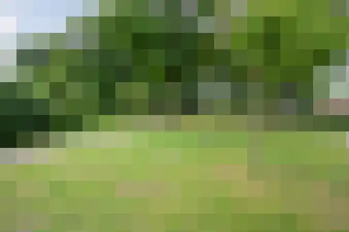 Polberg 75 Hardenberg thumbnail 55