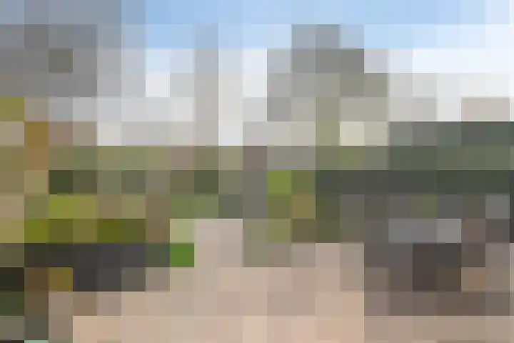 Polberg 80 Hardenberg thumbnail 41