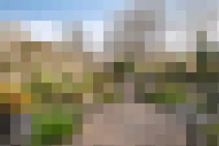 Polberg 80 Hardenberg thumbnail 42