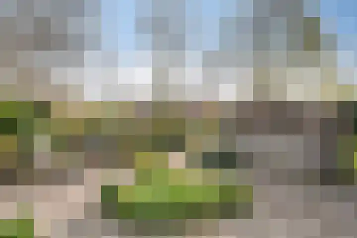 Polberg 80 Hardenberg thumbnail 43