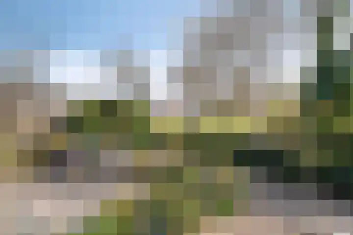 Polberg 80 Hardenberg thumbnail 44