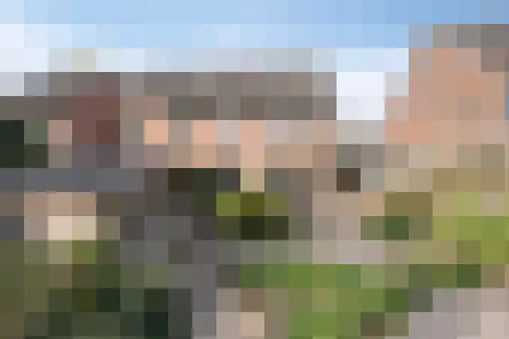Polberg 80 Hardenberg thumbnail 45