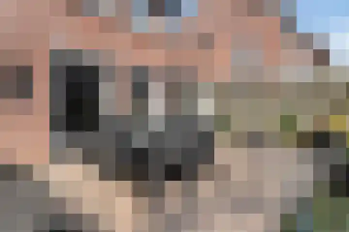 Polberg 80 Hardenberg thumbnail 46