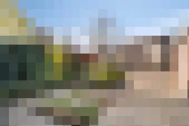 Polberg 80 Hardenberg thumbnail 7