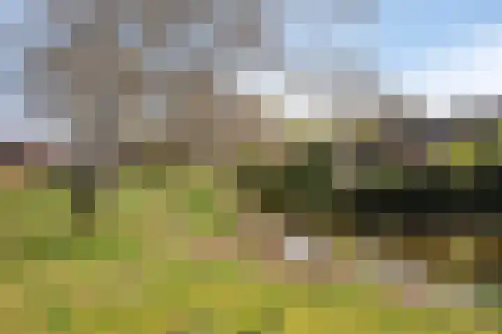 Polberg 80 Hardenberg thumbnail 8