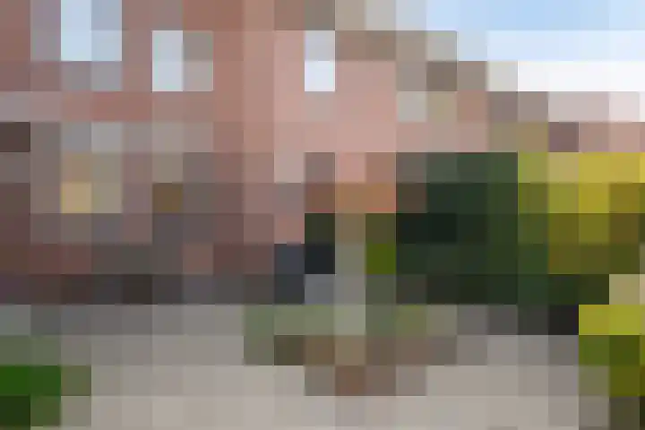 Polberg 80 Hardenberg thumbnail 9