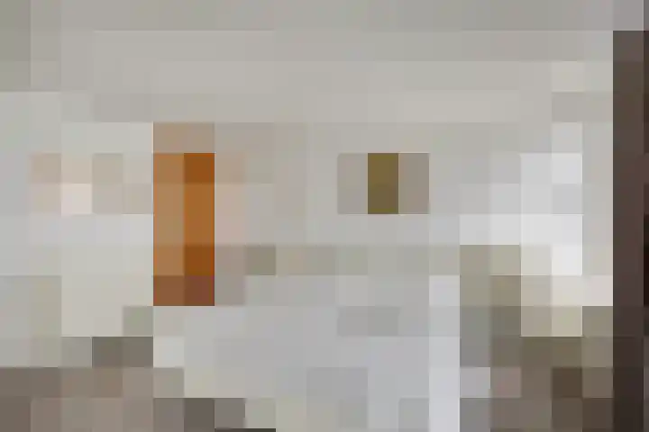 Polder 38 Gendt thumbnail 22