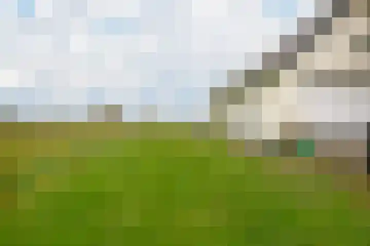 Polder 38 Gendt thumbnail 30