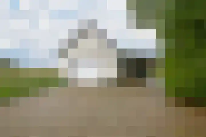 Polder 38 Gendt thumbnail 31