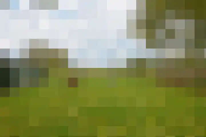 Polder 38 Gendt thumbnail 33