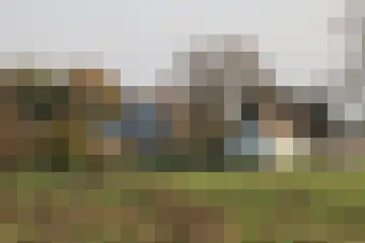 Polder 38 Gendt thumbnail 34