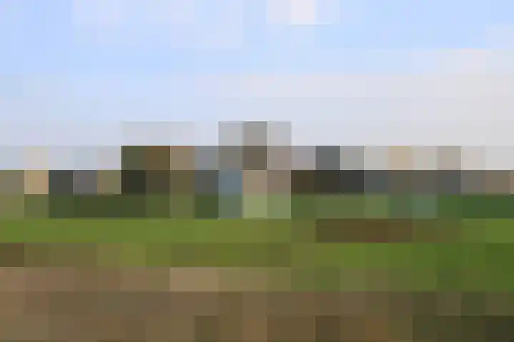 Polder 38 Gendt thumbnail 35