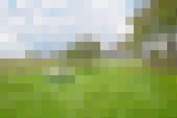 Polder 38 Gendt thumbnail 36