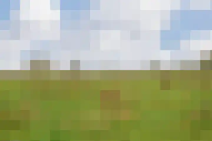 Polder 38 Gendt thumbnail 37