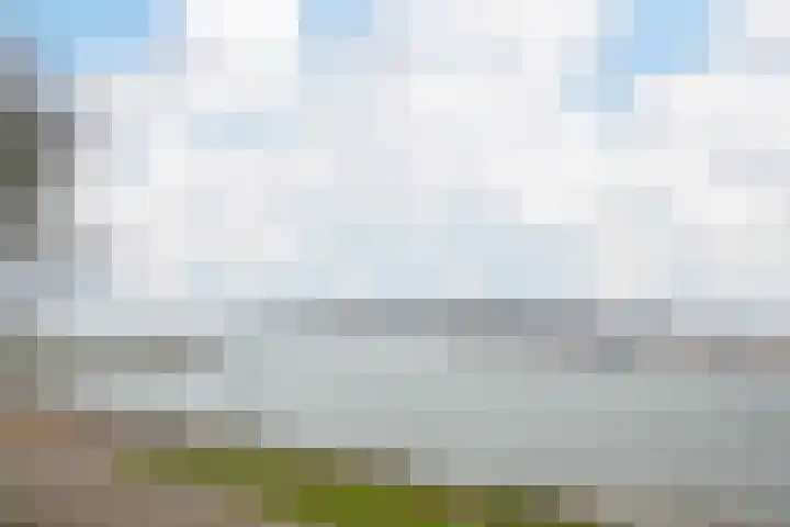 Polder 38 Gendt thumbnail 38