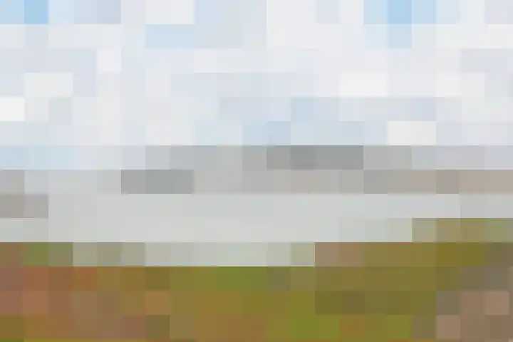 Polder 38 Gendt thumbnail 39
