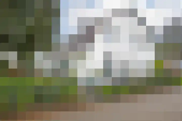 Polder 38 Gendt thumbnail 4