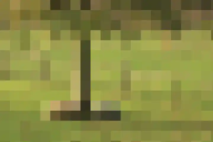 Polder 38 Gendt thumbnail 40