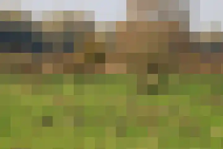 Polder 38 Gendt thumbnail 41