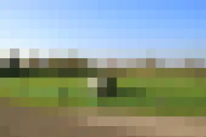 Polder 38 Gendt thumbnail 42