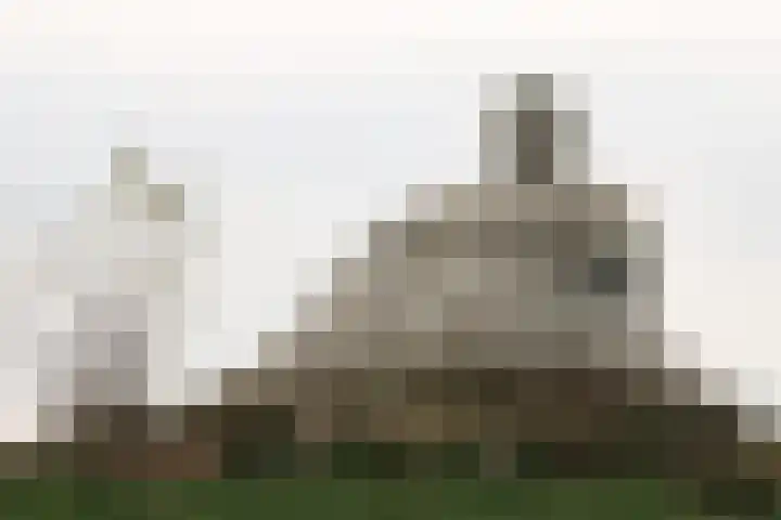 Polder 38 Gendt thumbnail 43
