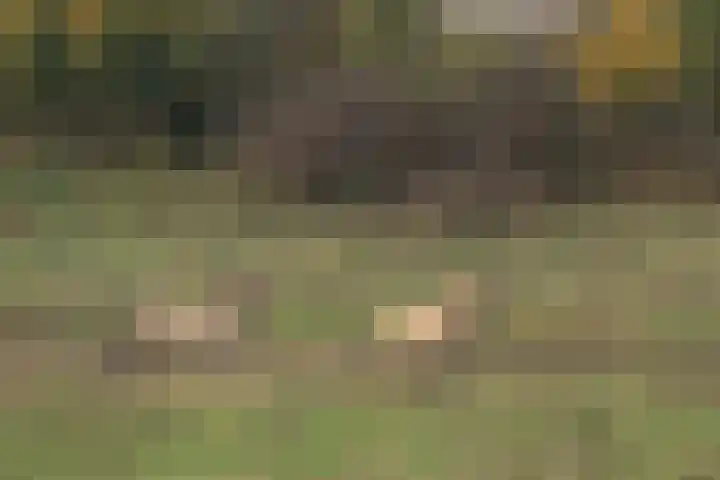 Polder 38 Gendt thumbnail 44
