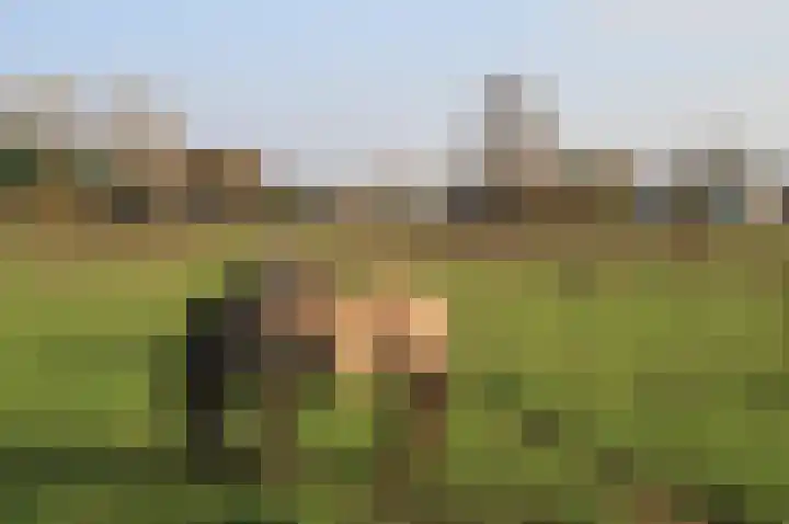 Polder 38 Gendt thumbnail 45