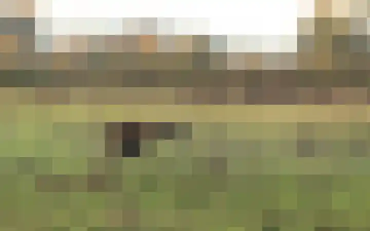 Polder 38 Gendt thumbnail 46