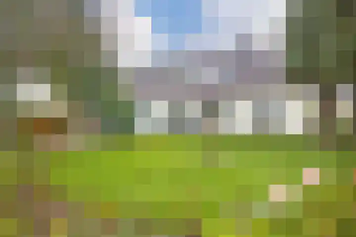 Polder 38 Gendt thumbnail 5