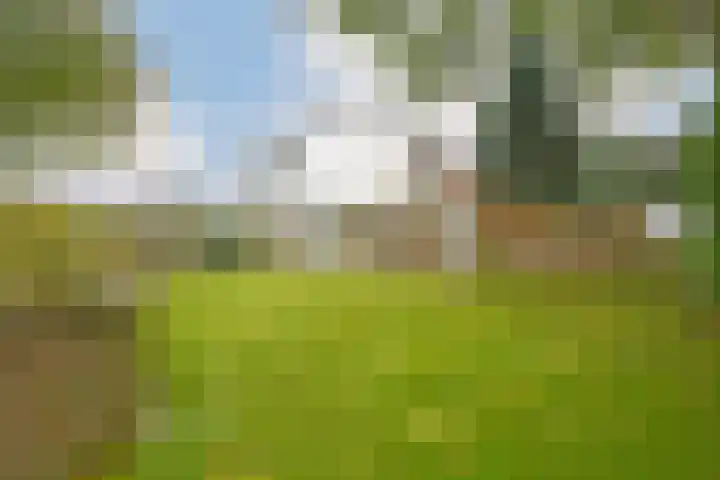 Polder 38 Gendt thumbnail 6