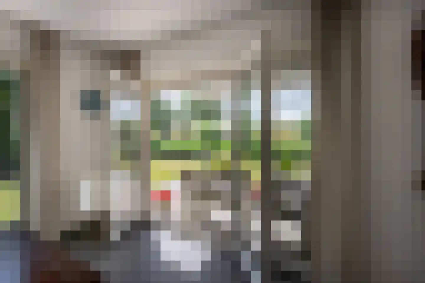 Polder Klinkerland 1 Nieuwe-Tonge thumbnail 16