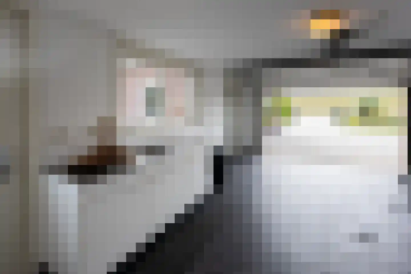 Polder Klinkerland 1 Nieuwe-Tonge thumbnail 28