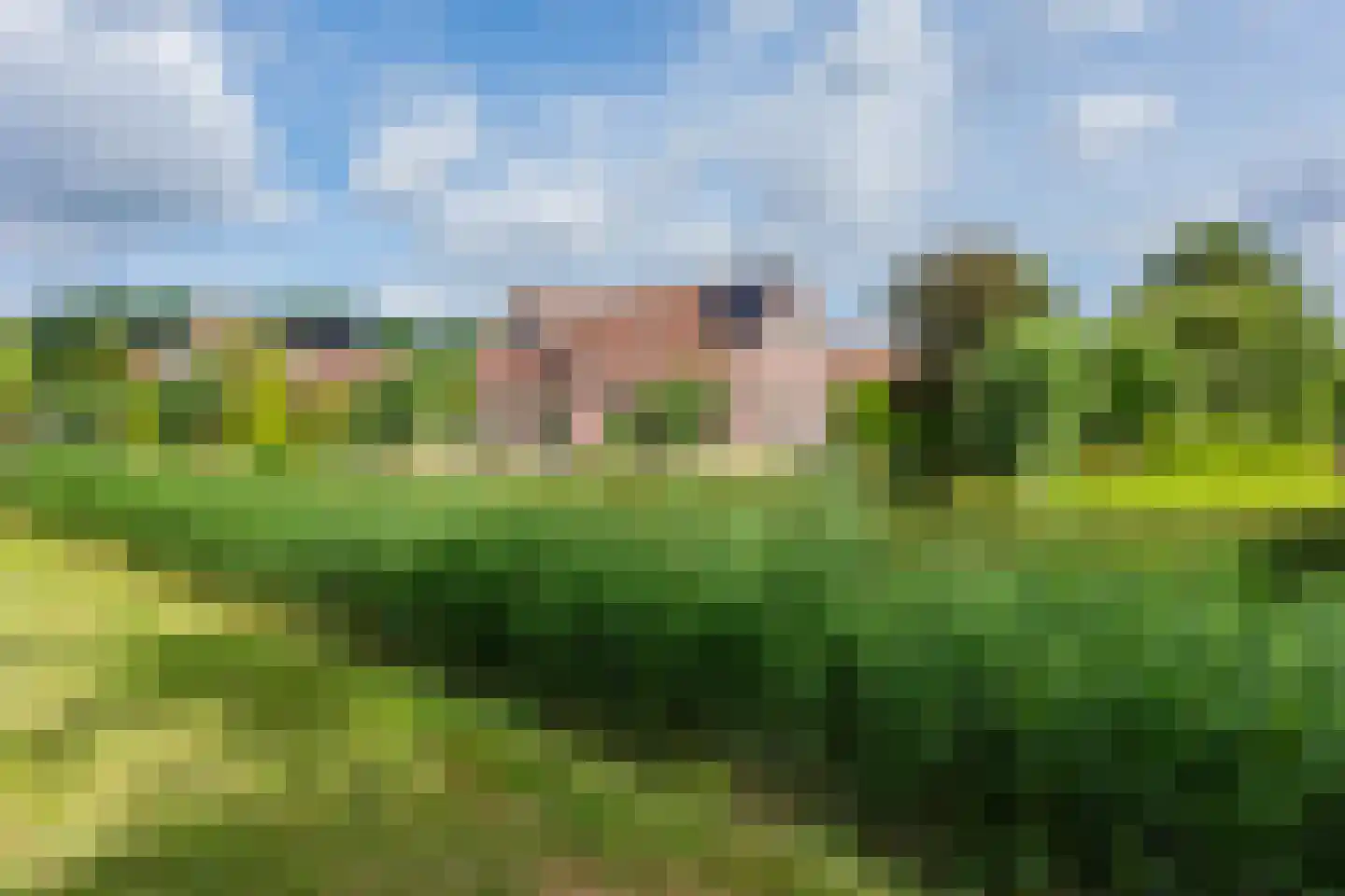 Polder Klinkerland 1 Nieuwe-Tonge thumbnail 41