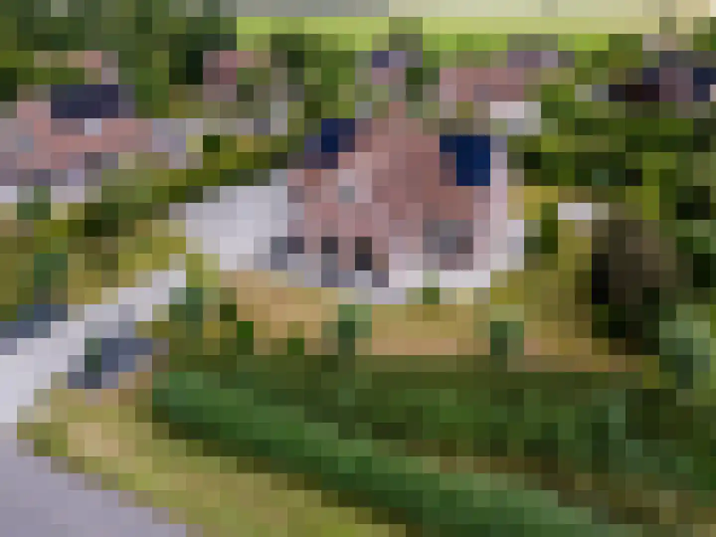 Polder Klinkerland 1 Nieuwe-Tonge thumbnail 42