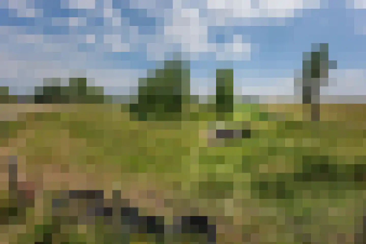 Polder Klinkerland 1 Nieuwe-Tonge thumbnail 49