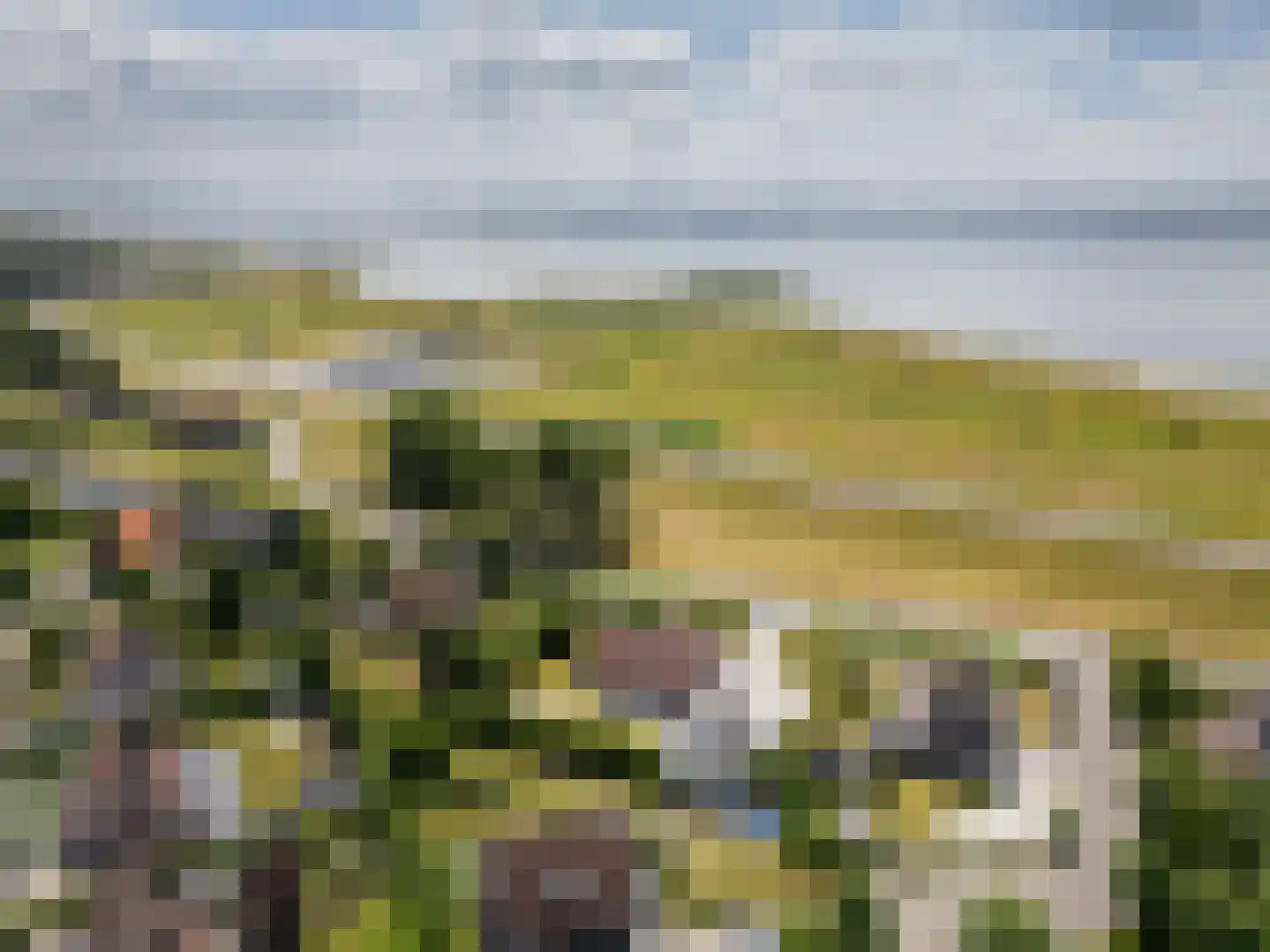 Polder Klinkerland 1 Nieuwe-Tonge thumbnail 52