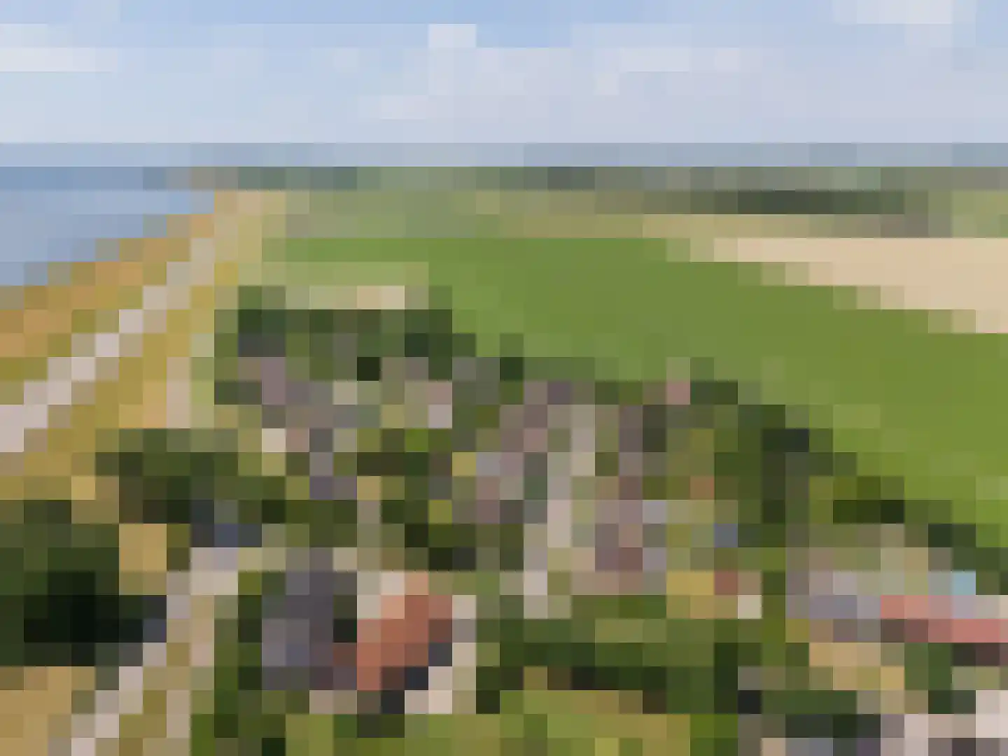 Polder Klinkerland 1 Nieuwe-Tonge thumbnail 54